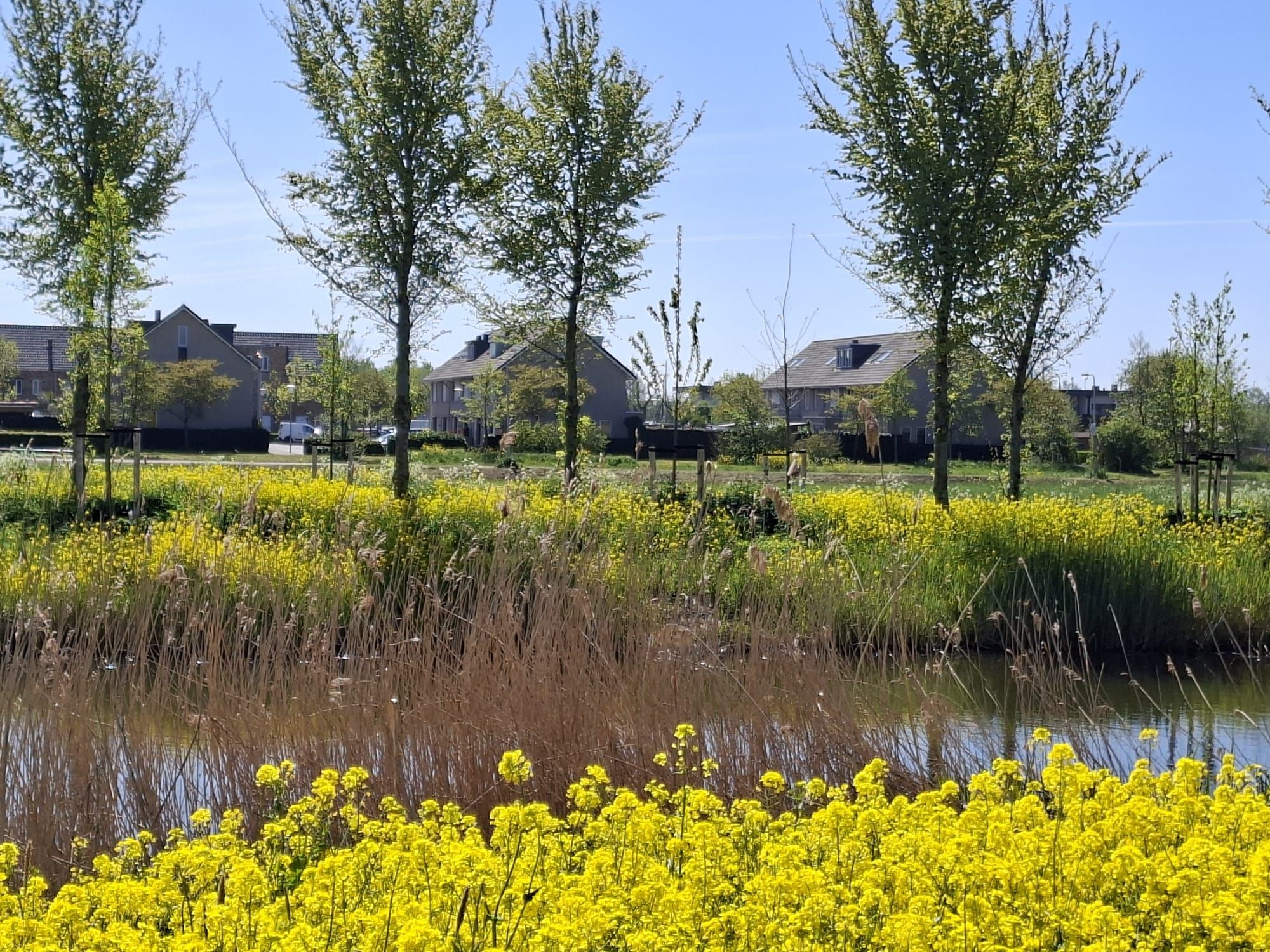 Photo 21 of IJmeerstraat 29