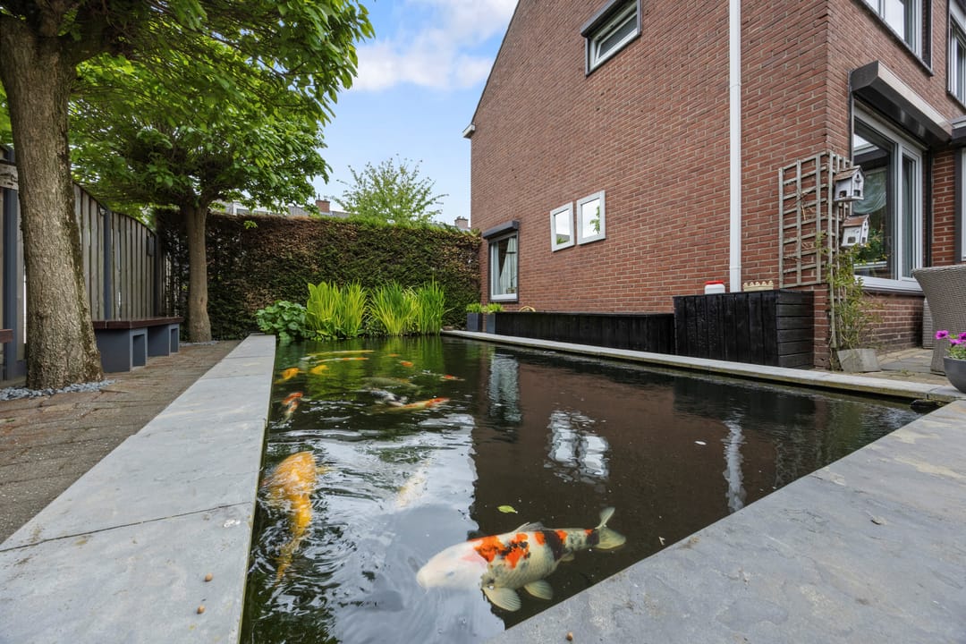 Foto 46 van Bolerostraat 11