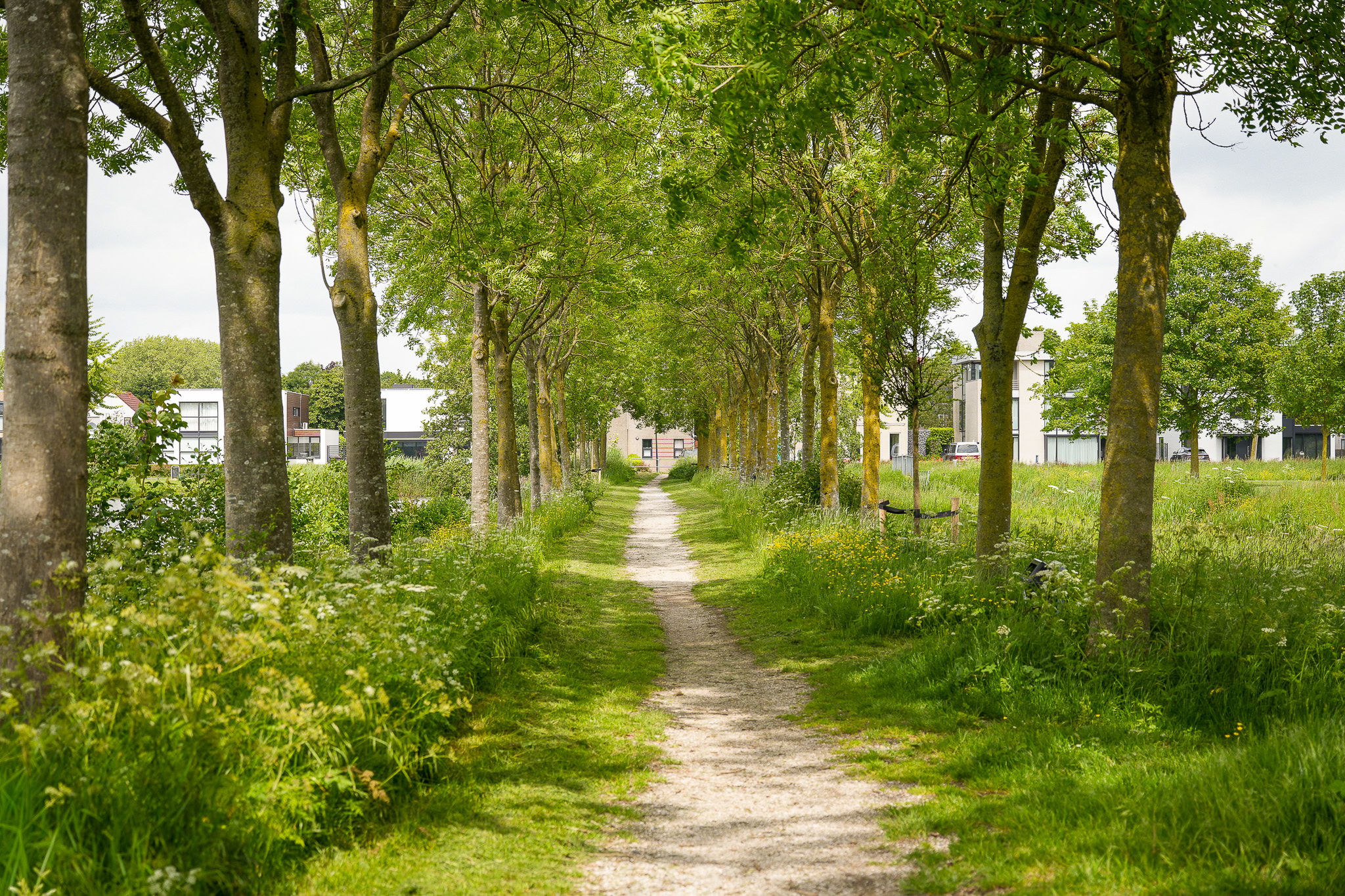 Photo 48 of Scharenburgsestraat 16