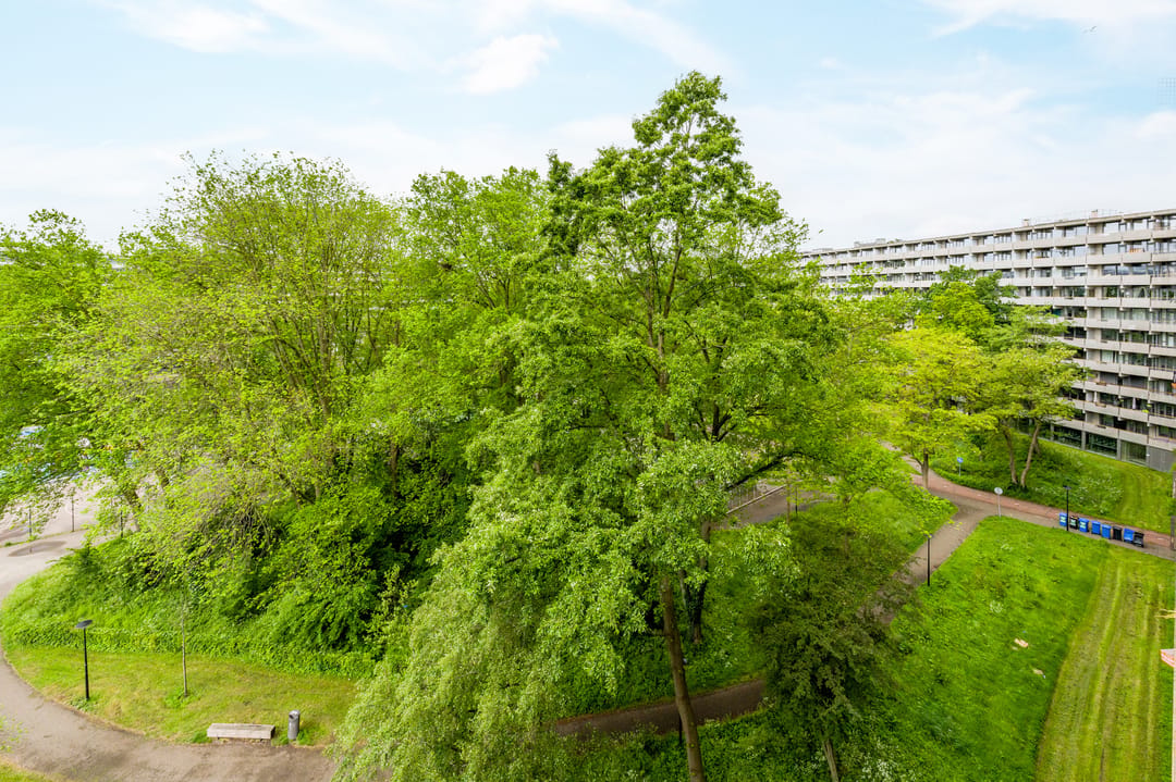 Photo 41 of Kleiburg 742