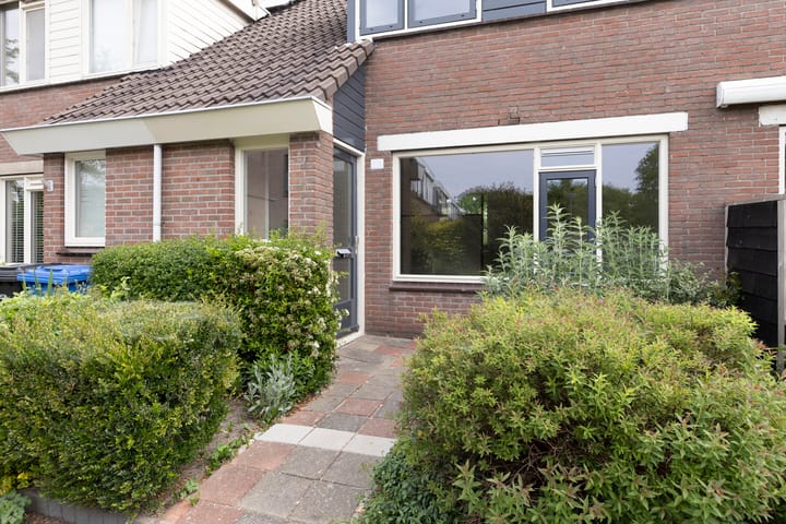 Foto 2 van Witte Klaver 23
