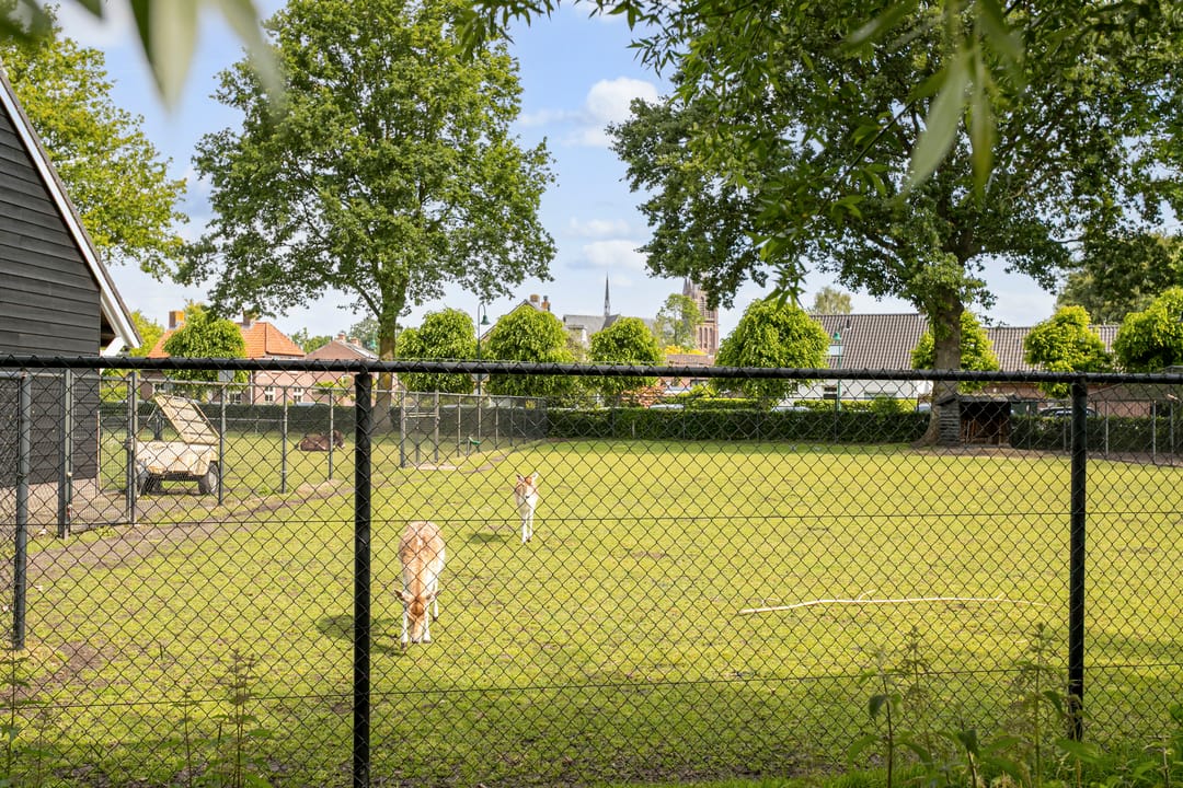 Foto 43 van Slotlaan 52