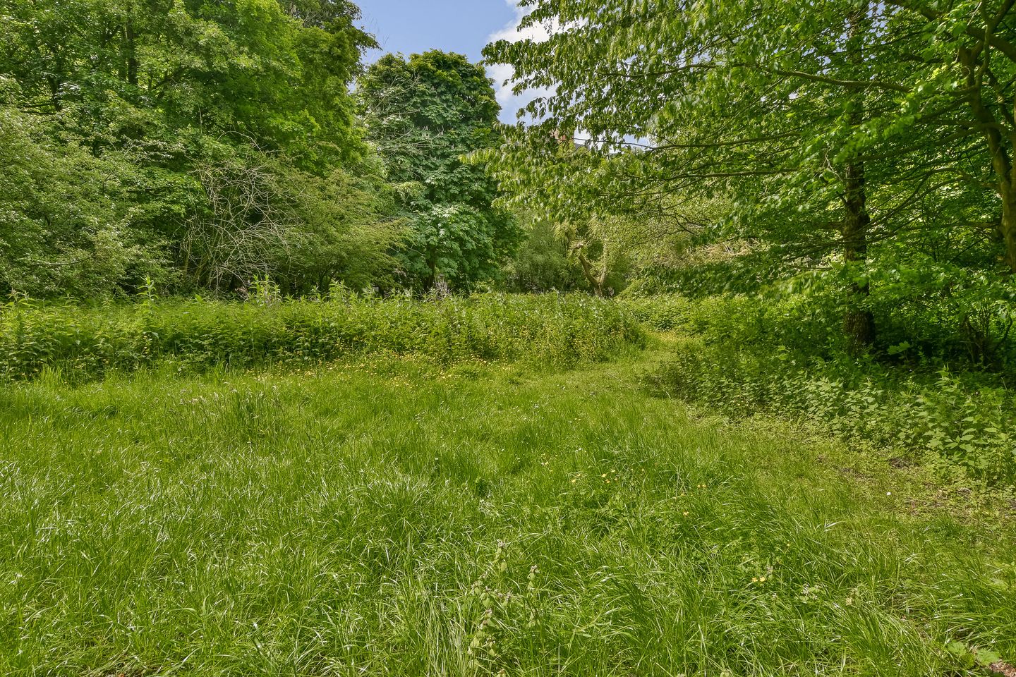 Photo 25 of Leksmondhof 26