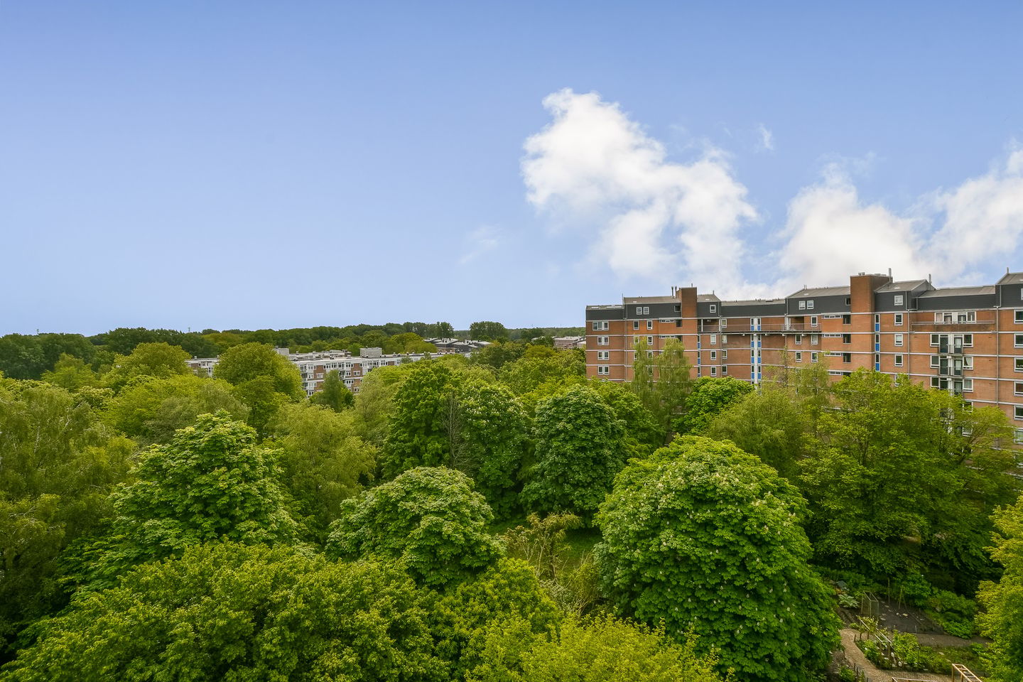Photo 5 of Leksmondhof 26