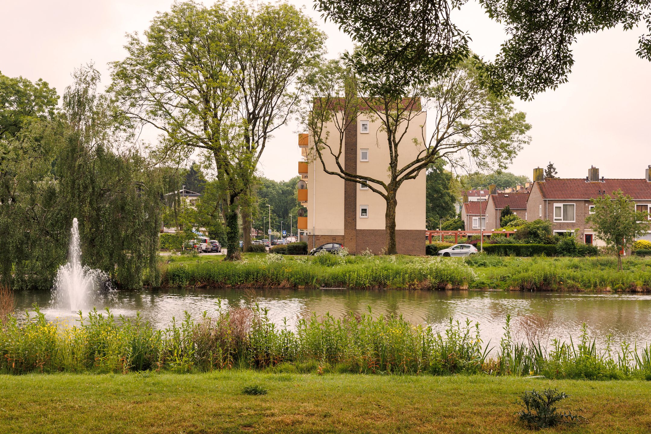 Foto 30 van Ridderplantsoen 17-1