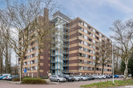 Fluitekruidweg thumbnail
