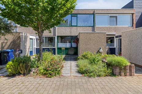 Andoorn thumbnail