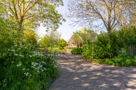 Langelilleweg thumbnail