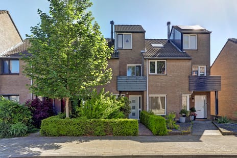Rector Buijselstraat thumbnail