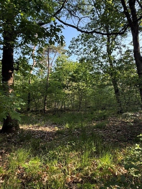 Bekijk foto 5 van Heide
