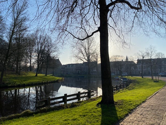 Bekijk foto 5 van Kinderhuissingel 4-E