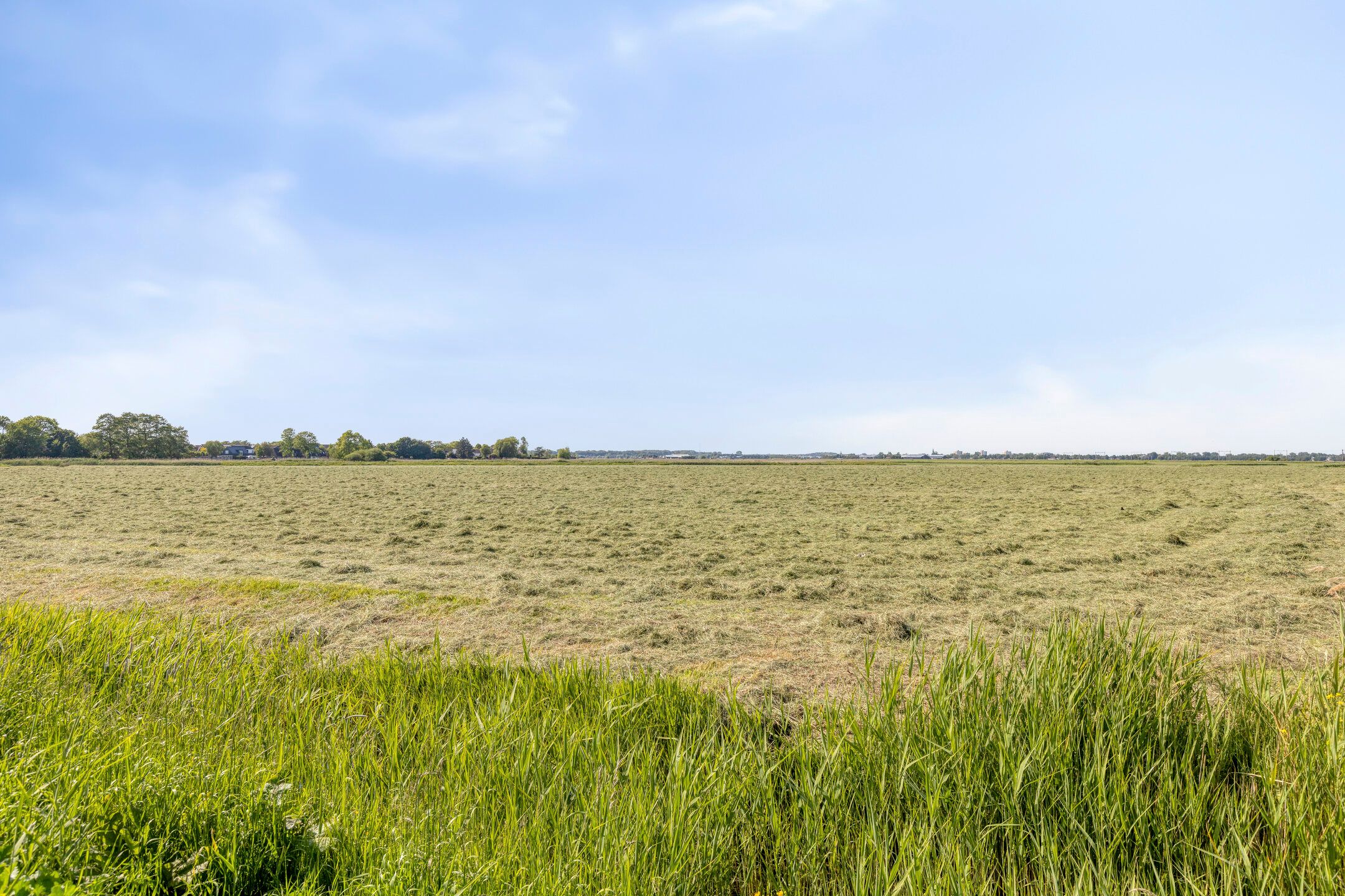 Photo 48 of De Herderin 23