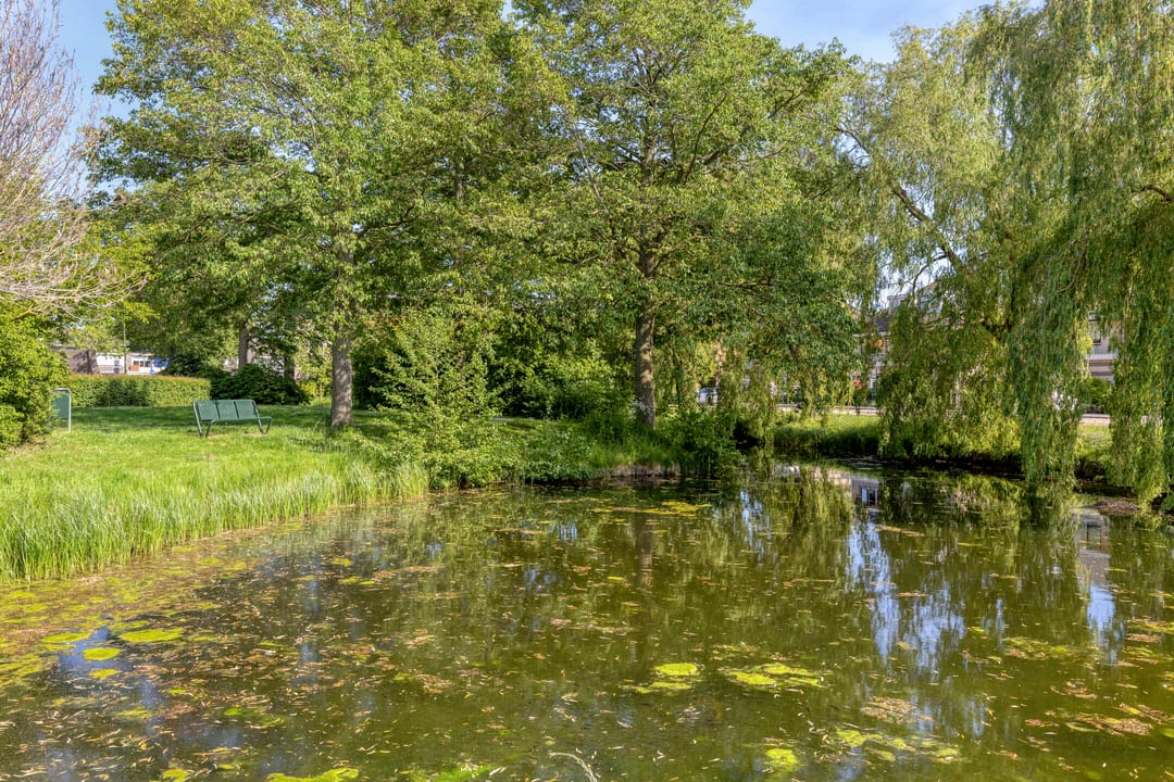 Photo 47 of De Herderin 23
