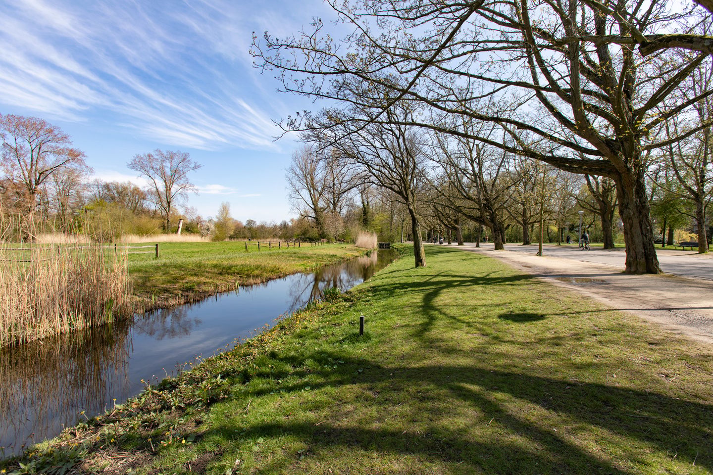 Photo 35 of Pieter Cornelisz. Hooftstraat 175-C
