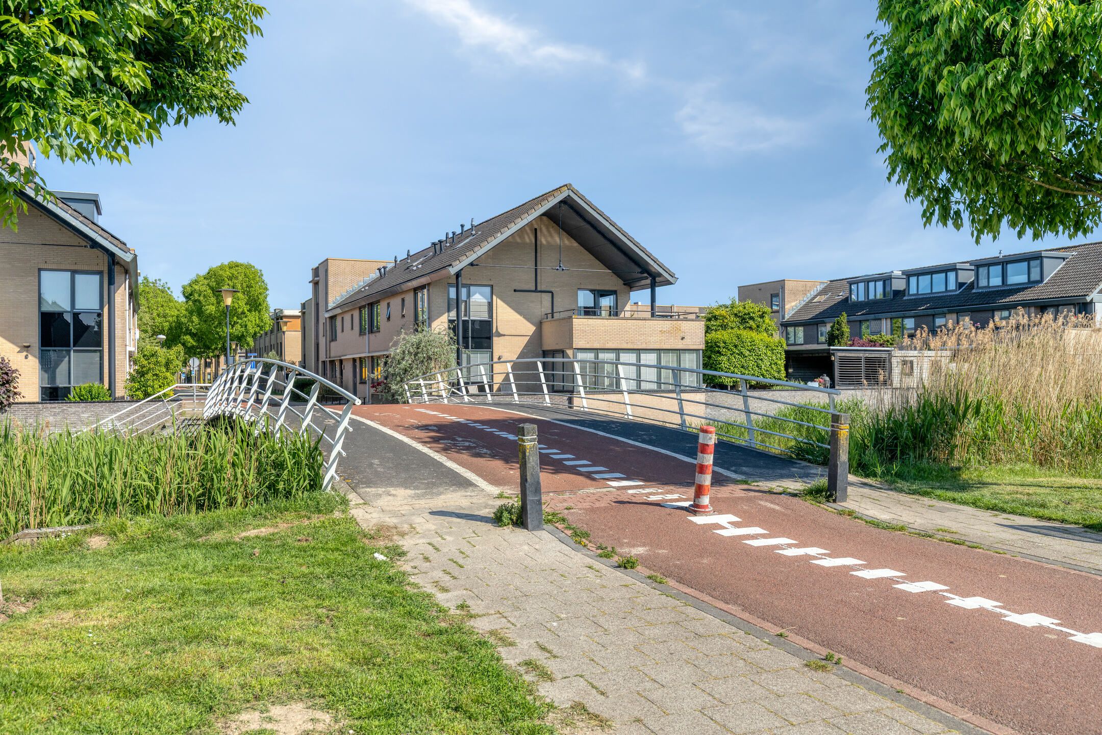 Foto 45 van Sandelhout 13