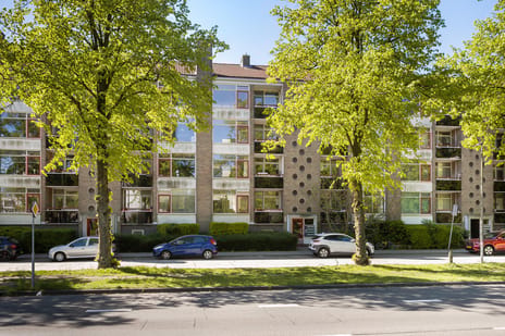 Aalbersestraat thumbnail