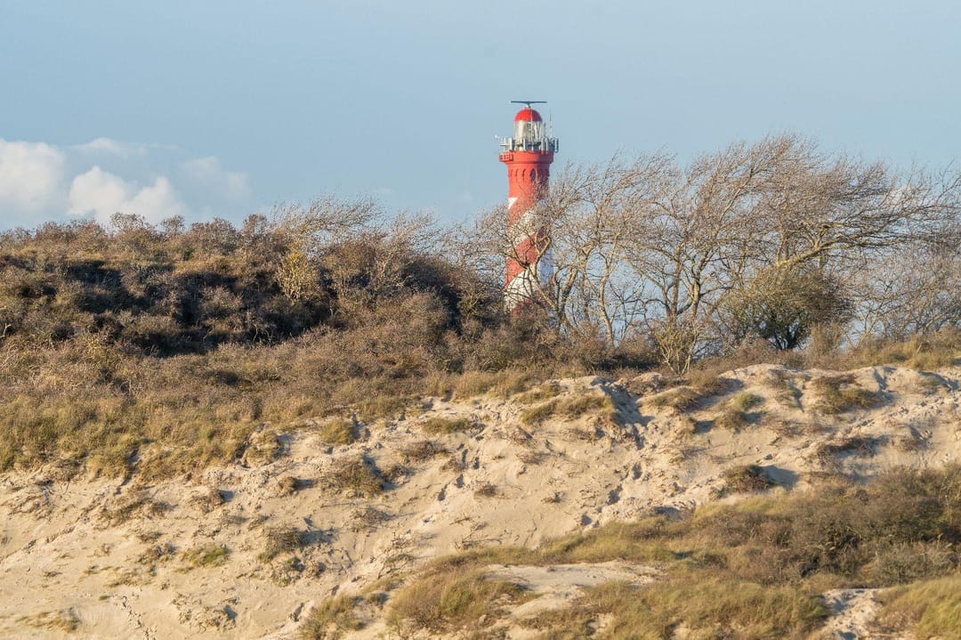Foto 41 van Seringenlaan 4