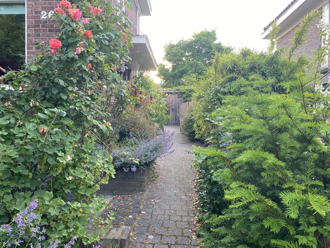 Foto 62 van Roemer Visscherstraat 26