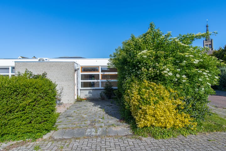 Frans Hanegraafstraat 53