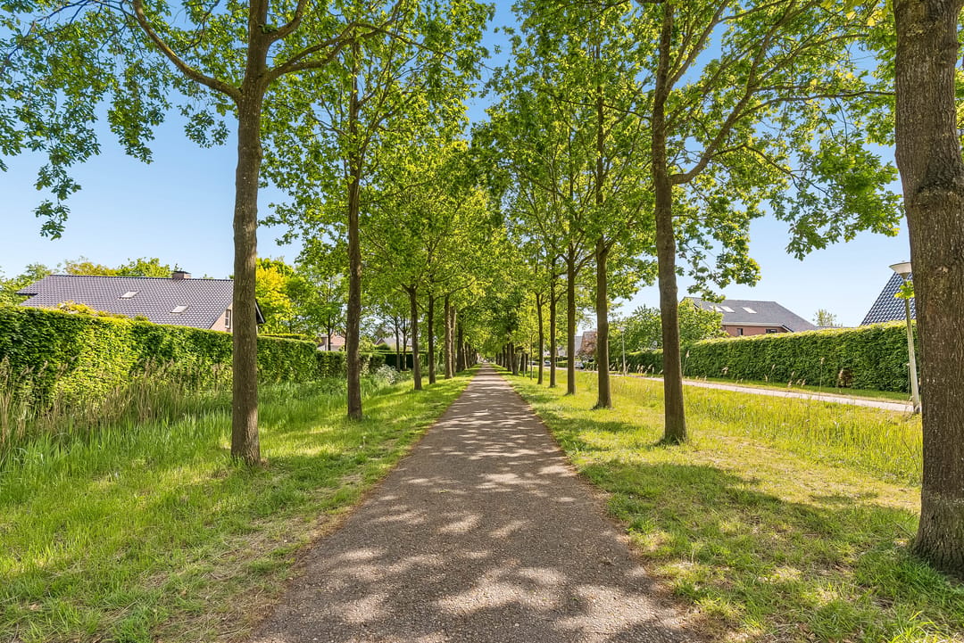 Foto 61 van Eerdelaan 17
