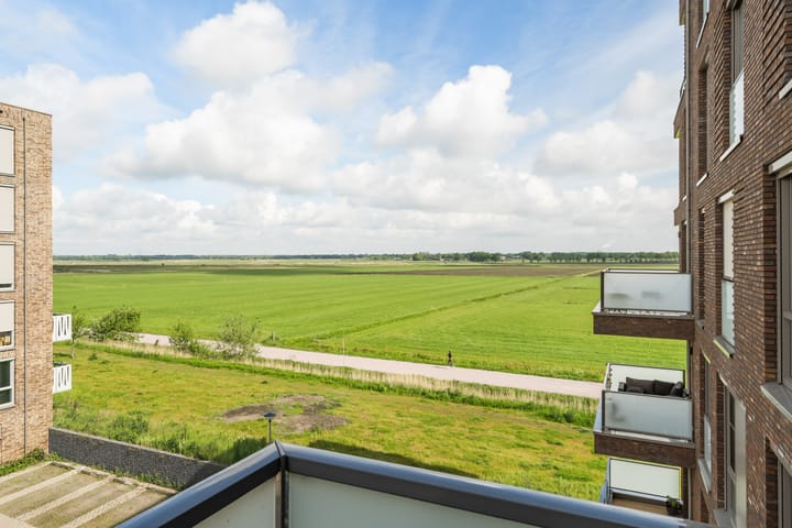 Foto 4 van Maasdijk 315