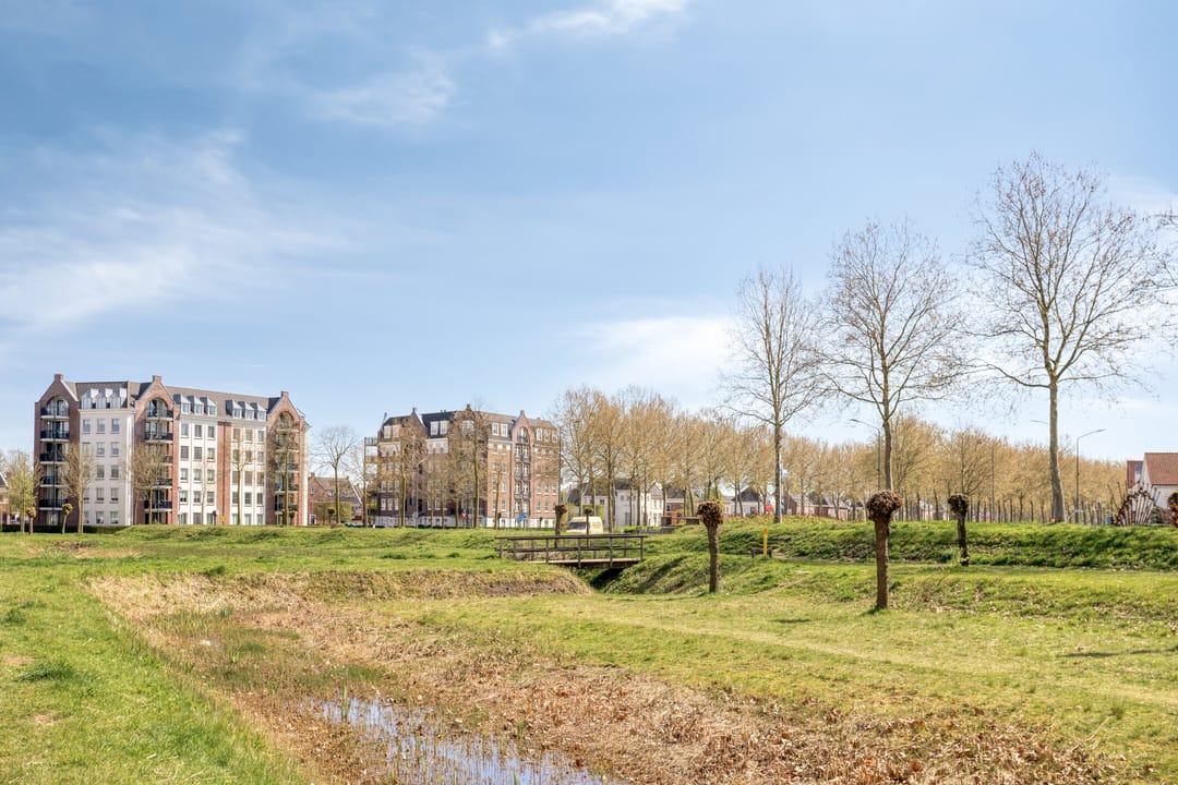 Foto 11 van Roselmanserf 8