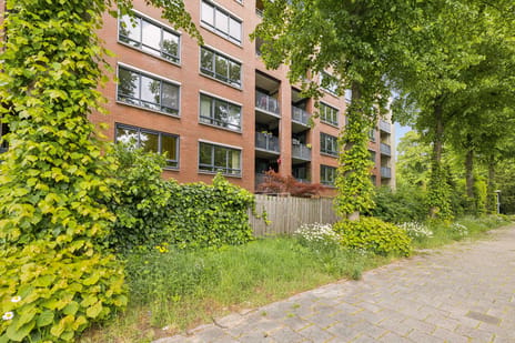 Rendierstraat thumbnail