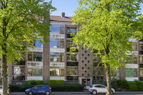 Aalbersestraat thumbnail