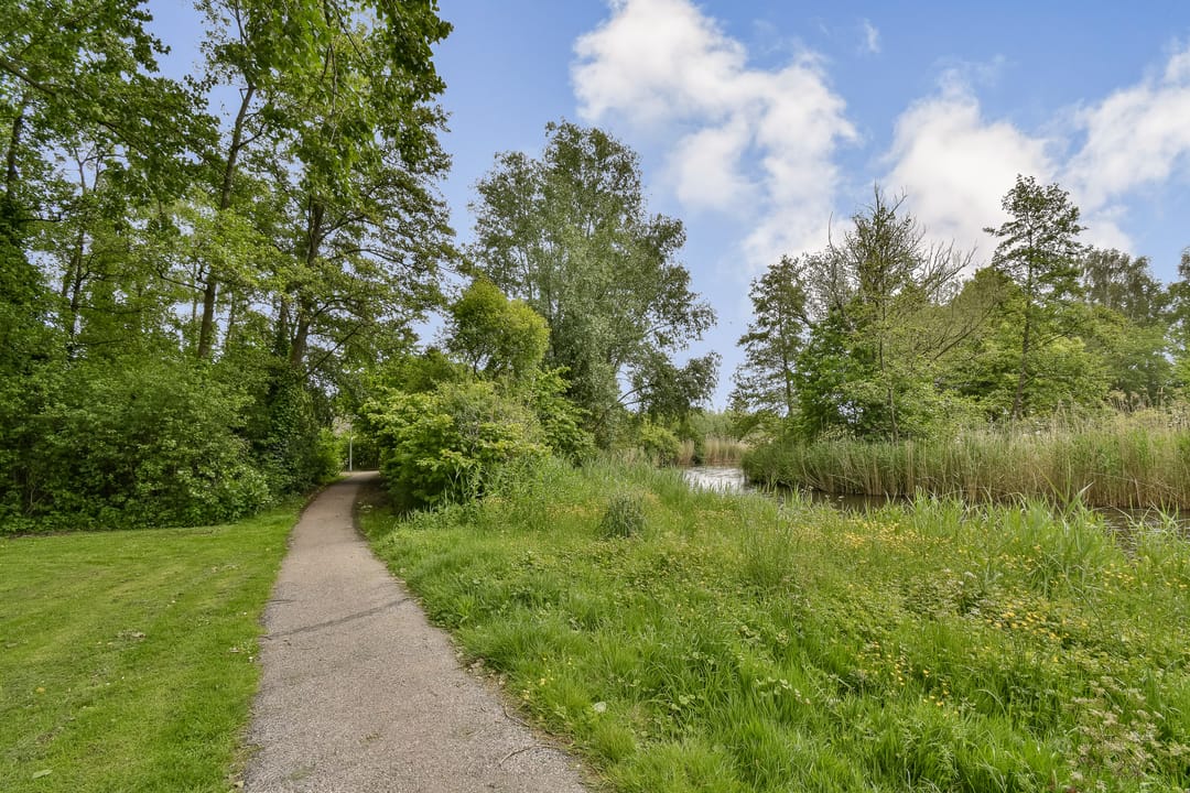 Foto 31 van Dalkruid 2