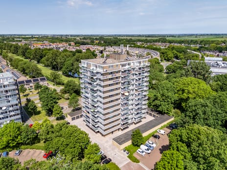Lupinesingel thumbnail