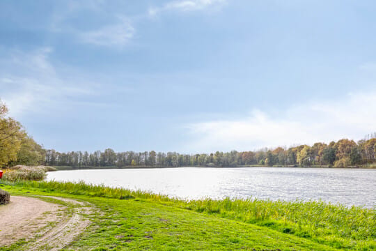 Photo 24 of Stelleweg 1-175
