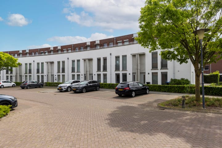 Eekhoorn 23