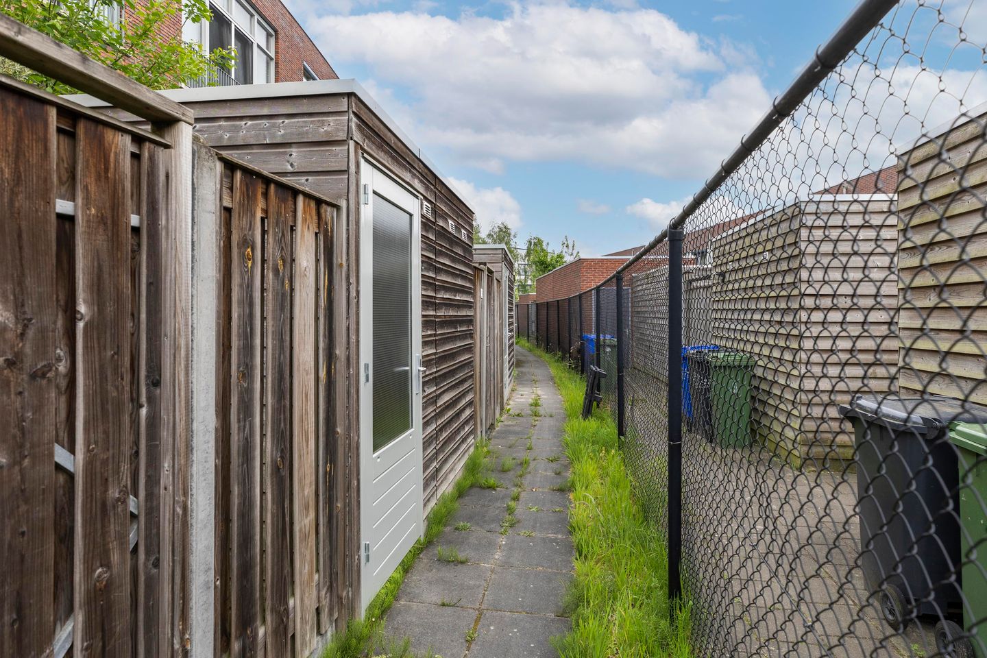 Foto 19 van Eekhoorn 23