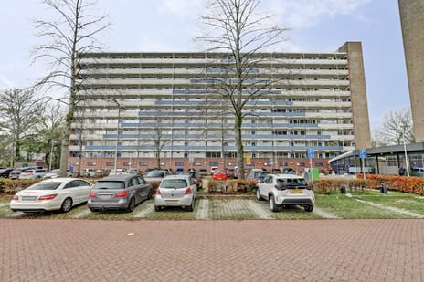 Sperwerstraat thumbnail