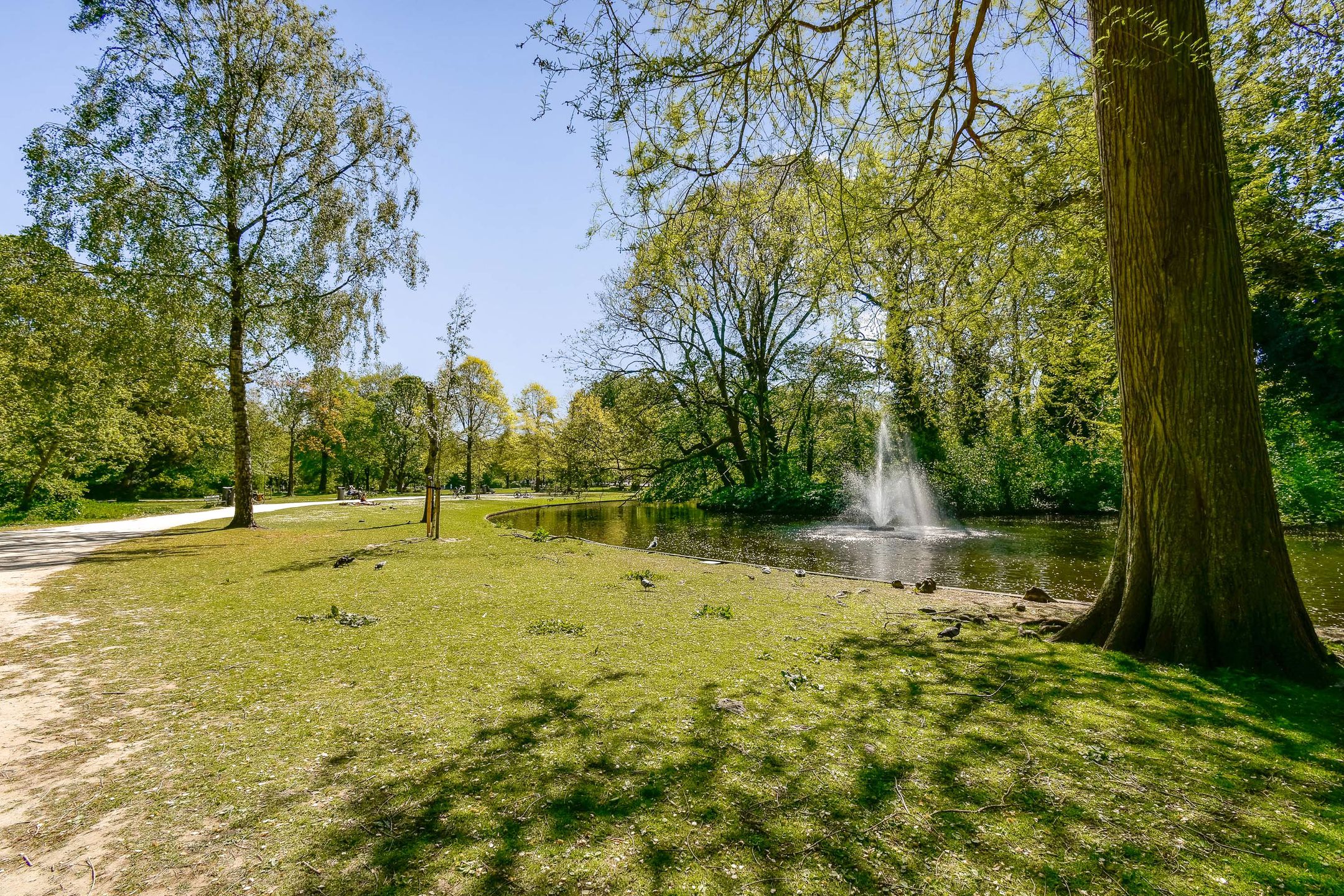 Photo 24 of Groen van Prinstererstraat 3-2