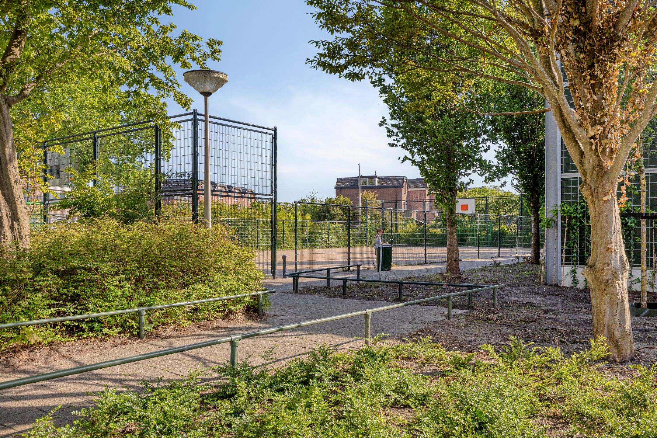 Photo 42 of van Ostade 1