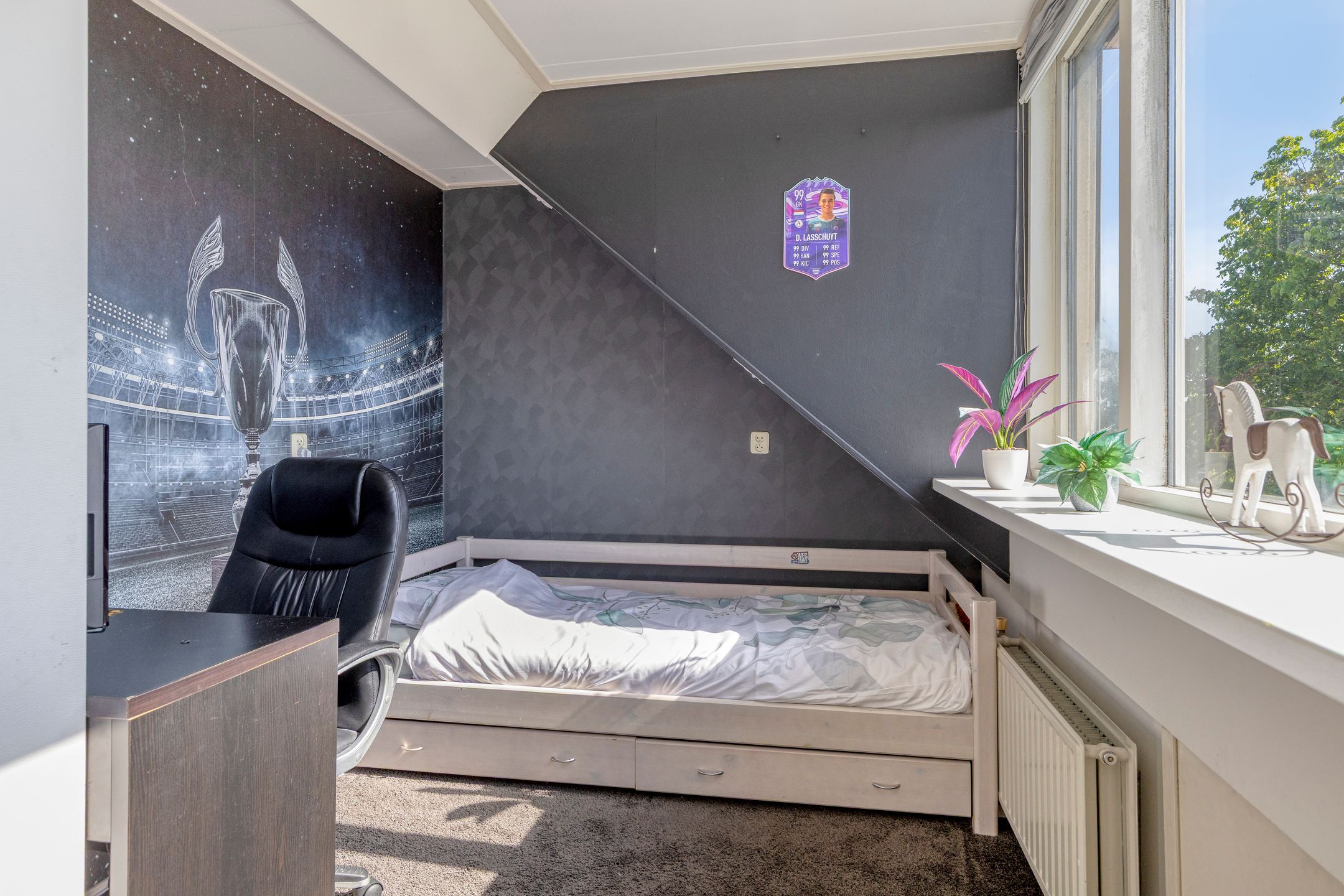 Photo 30 of van Ostade 1