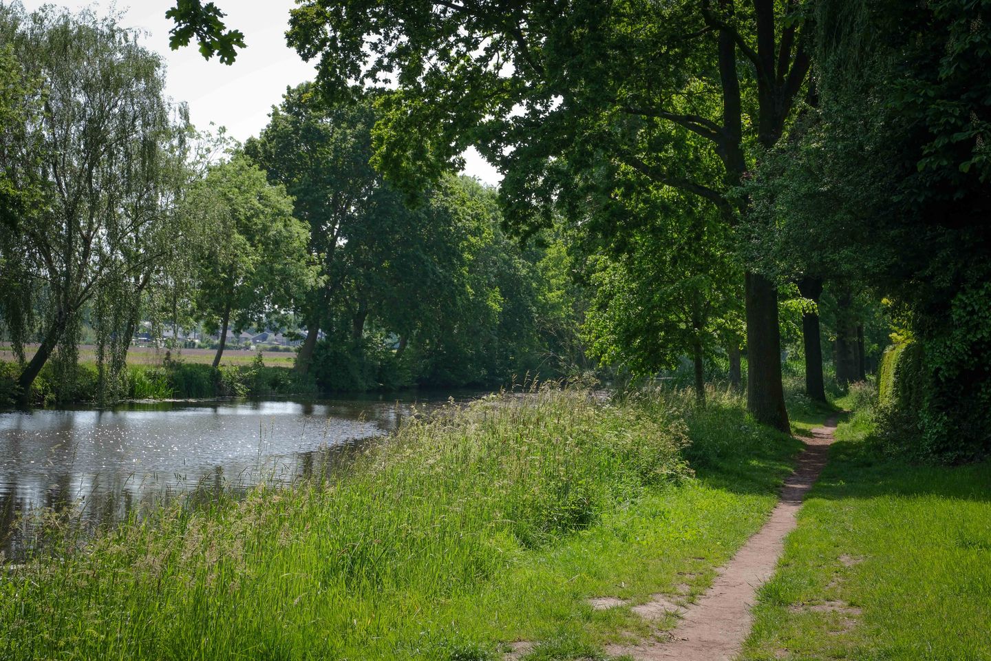 Foto 40 van De Merel 1