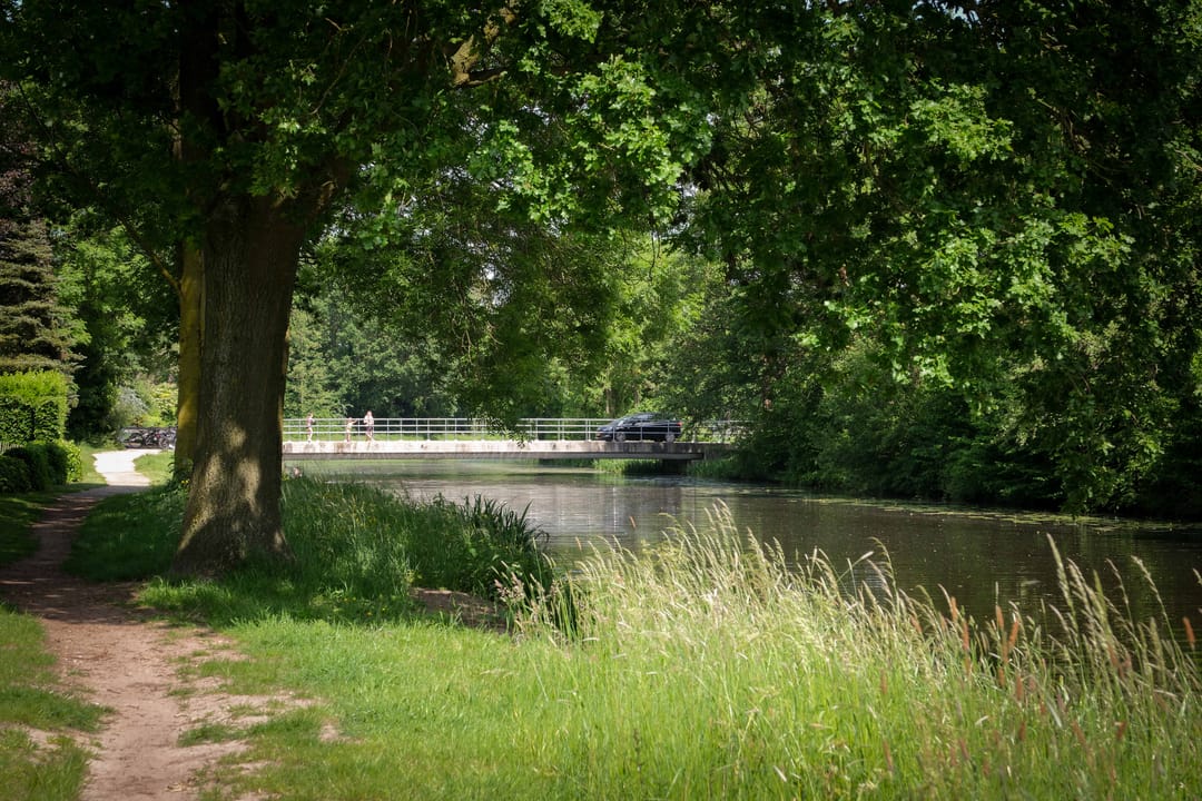 Foto 41 van De Merel 1
