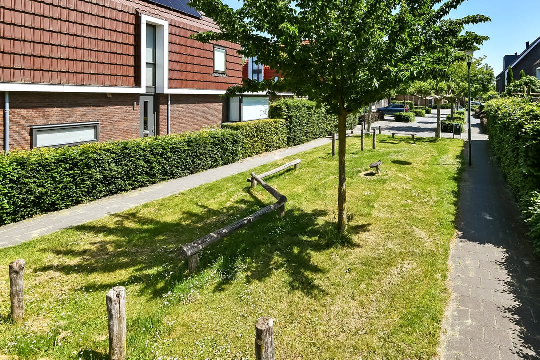 Foto 52 van Riet 3