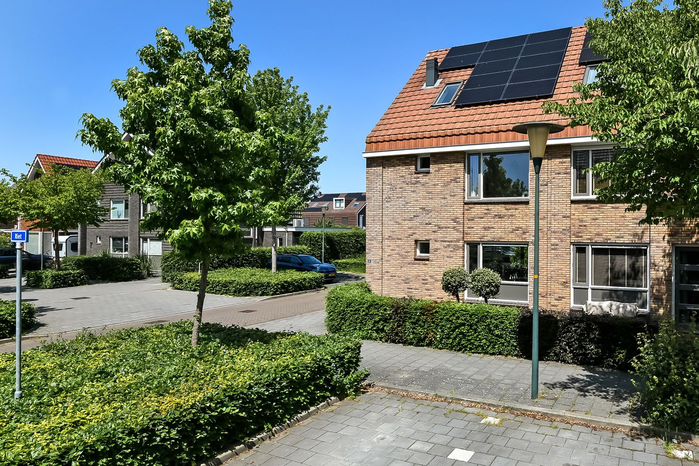 Foto 5 van Riet 3