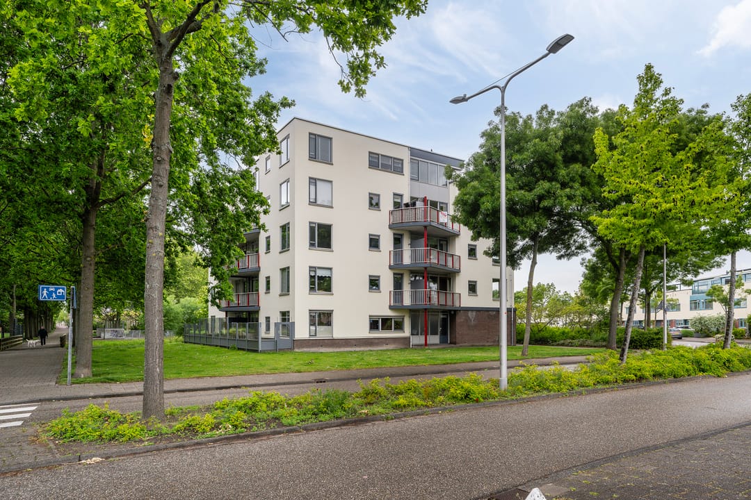 Foto 1 van Dreeslaan 51