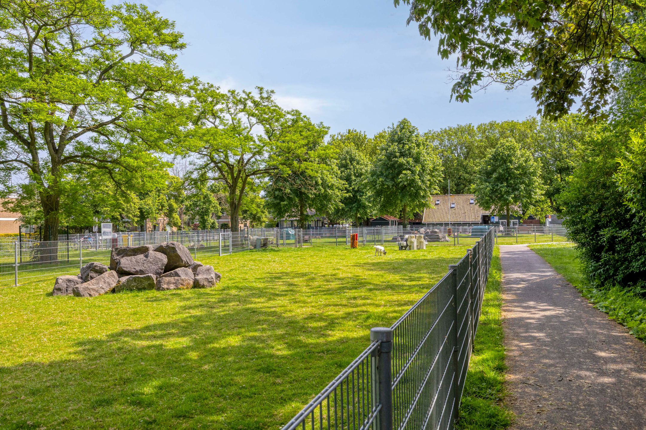 Photo 36 of De Hoornbloem 17