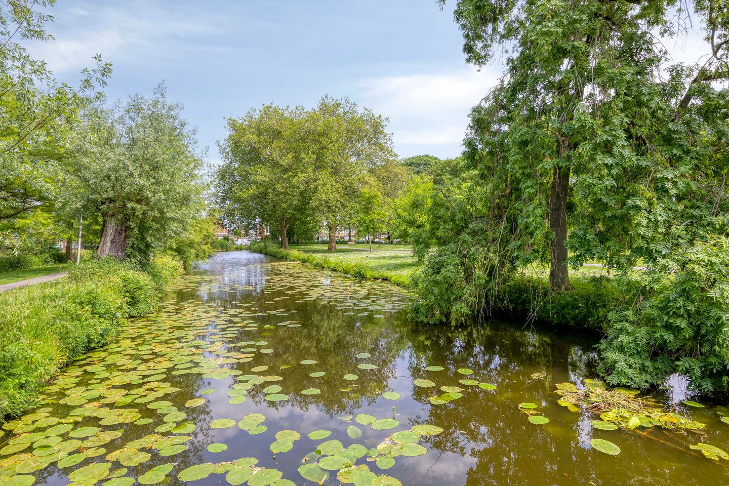 Photo 35 of De Hoornbloem 17