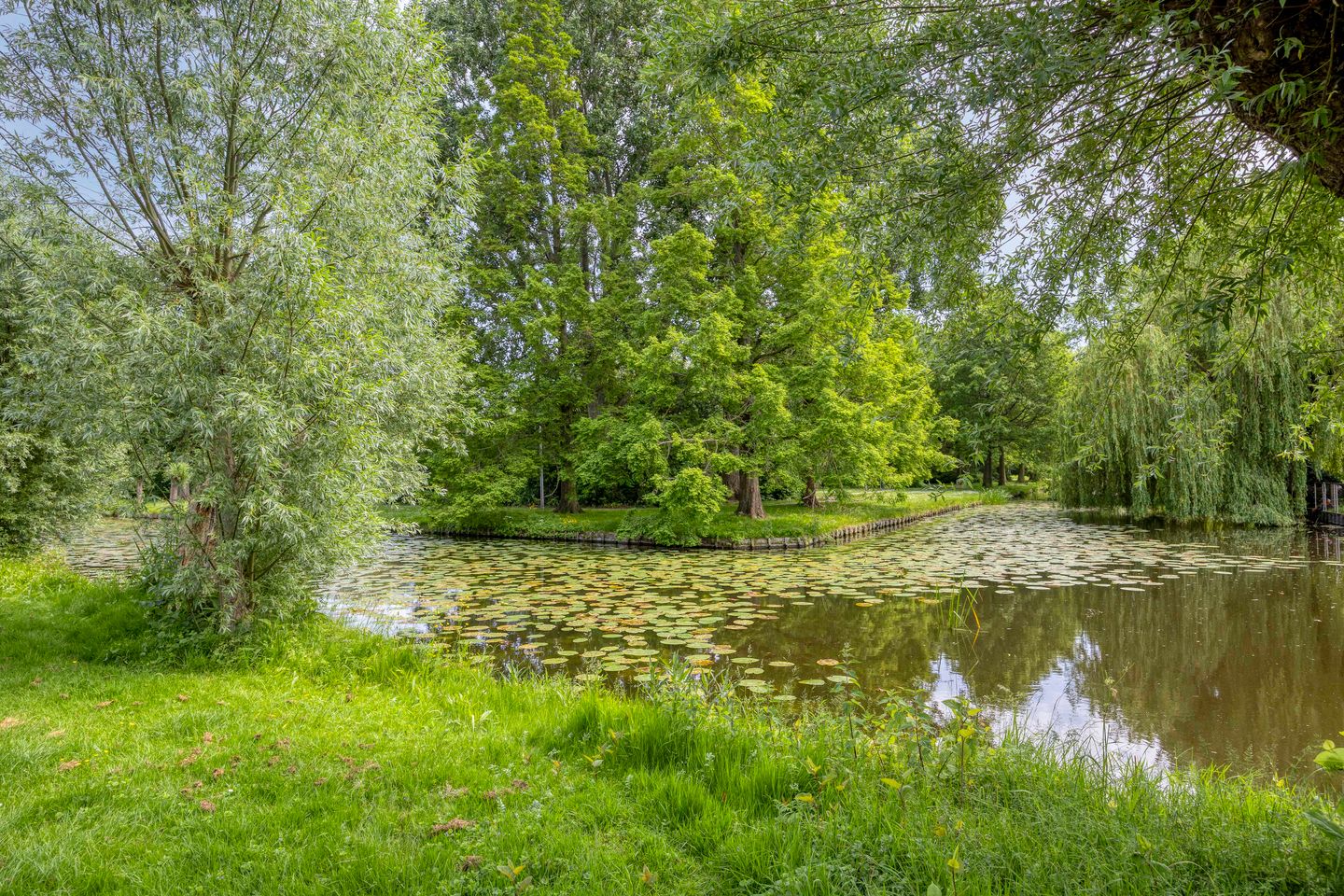 Photo 34 of De Hoornbloem 17