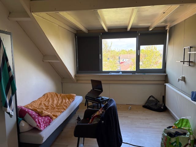 Foto 7 van Bosrand 45