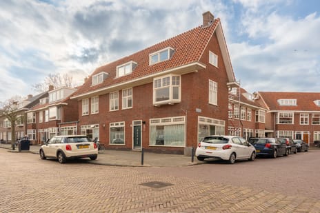 Van Zeggelenstraat thumbnail