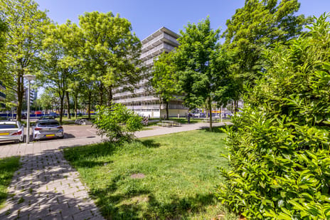 Statenjachtstraat thumbnail