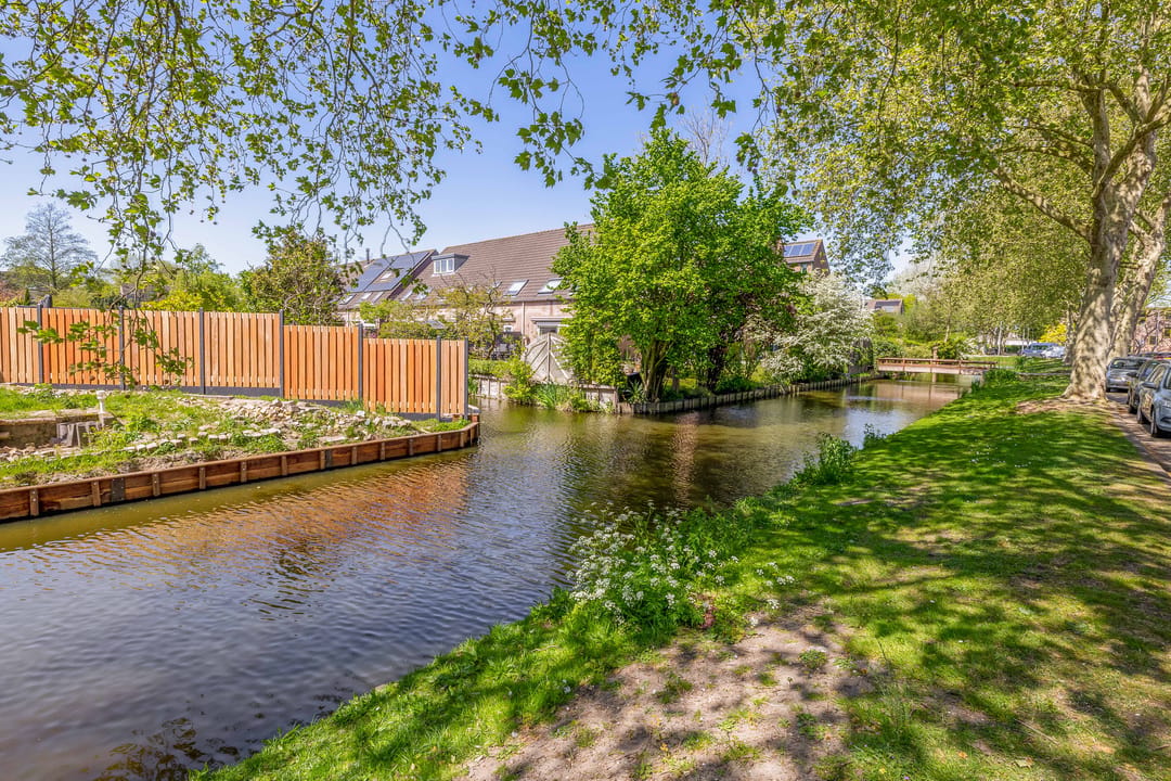 Foto 41 van Gemshoorn 38