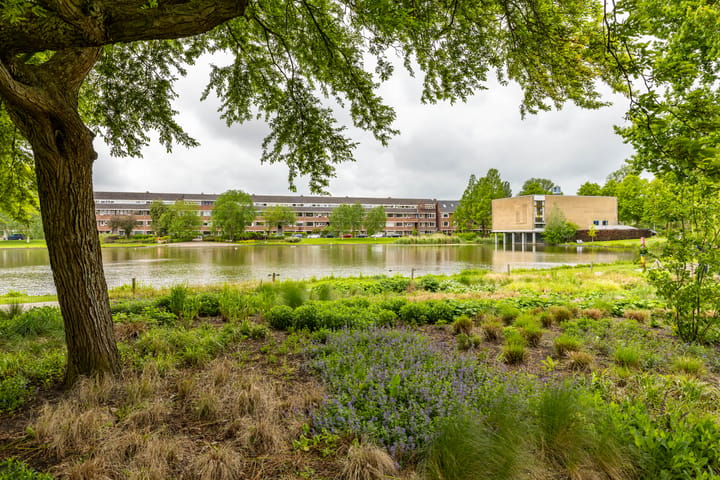 Foto 5 van Oosterhamriklaan 4